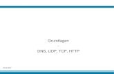 Grundlagen DNS, UDP, TCP, HTTP - TU Dortmundls4- · PDF file02.05.07 Techniken und Dienste des Internets 4 Neue gTLDs • Einführung neuer gTLDs zu den traditionellen – com, net,