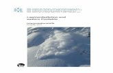 Lawinenbulletins und weitere Produkte - · PDF file(Hrsg.) 2013: Lawinenbulletins und weitere Produkte. Interpretationshilfe. Ausgabe 2013. 13. überarbeitete Auflage. WSL-Institut