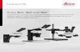 Leica M50, M60 und M80 - leica-microsystems.com M80... · Routinemikroskopie: Jeden Tag neue Herausforderungen Optische Brillanz und ein umfangreiches Zubehörprogramm machen die