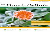 Ausgabe November 2016 Zum Mitnehmen Der Domizil-ote · PDF filegelassenheit und Liebe. Musette-Walzer wie „Domino“ wecken Assoziationen an Orte wie Pigalle und die Tanzlokale am