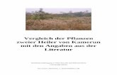 Vergleich der Pflanzen zweier Heiler von Kamerun mit den …00000000-5cd1-4d2e-ffff... · Amaranthus hybridus L., Amaranthaceae (Abb. 7) .....11 Aspilia africana C. D. Adams, Asteraceae