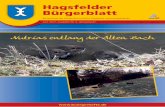Hagsfelder Bürgerblatt - service.ka-news.deservice.ka-news.de/buergerheft/pdf_bh/hagsfeld_0317.pdf · pflege@santivo.net I Eric Rebholz & Stefan Ruppelt I Königsberger Str. 2h ...