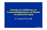Konzept zur Aufklärung von Lebensmittelinfektionen am ... · PDF fileDr. Ekkehard Weise, BfR Konzept zur Aufklärung von Lebensmittelinfektionen am Beispiel von Salmonella Agona BfR/We03.2004