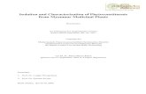 Isolation and Characterization of Phytoconstituents …sundoc.bibliothek.uni-halle.de/diss-online/06/06H045/prom.pdf · Isolation and Characterization of Phytoconstituents from Myanmar