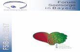 FSiB-Info 2017 - forum- · PDF fileFSiB-Info 3 1. Hintergrund Zahlreiche Studien belegen, dass Defizite in der Emotionsregulation wesentlich zur Entstehung und