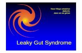 Leaky Gut Syndrome - · PDF fileo Sinkend (U-Boot) o Einmal täglich frühmorgens Der nicht normale Stuhl: ... Microsoft PowerPoint - darm_leaky-gut_syndrome_pp_vortrag.ppt [Kompatibilitätsmodus]