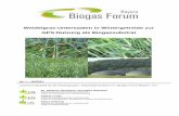 Weidelgras-Untersaaten in Wintergetreide zur GPS … · Weidelgras-Untersaaten in Wintergetreide zur GPS Nutzung als Biogassubstrat 2 Kurzsteckbrief Saattermin: Deckfrucht und Untersaat