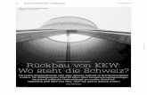 NICHT FÜR DIE EWIGKEIT GEBAUT Rückbau von KKW: … · TE1 9/2014 Kernkraftwerke rückbauen 23 E in Turm, der fast alle Bauwerke in der Schweiz überragt; daneben eine ... Die letzten