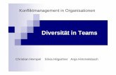 Diversität in Teams - ewi-psy.fu-berlin.de · innerhalb des Teams Æunreife können nicht partizipativ, erfahrene nicht dirigistisch geführt werden ... 1/12/2007 4:38:01 PM ...