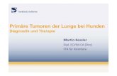 Primäre Tumoren der Lunge bei Hunden€¦ ·  · 2012-10-10Primäre Tumoren der Lunge bei Hunden Diagnostik und Therapie ˘ˇˆ ˙ˆ˘ˆ