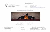 GELIUS TRIO - kulturkreis-gilching.dekulturkreis-gilching.de/...Trio_-_Abendprogramm_-_14.05.2011.pdf · GELIUS TRIO Sreten Krstic Violine Michael Hell Violoncello Micaela Gelius