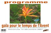 Dimanche 16 décembre 2007 - erf.enghien.free.frerf.enghien.free.fr/site/02_agenda/03_temps_forts/pgm071216.pdfclochette de Paganini (rondo final du concerto n°2 pour violon) « La