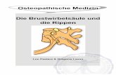 Osteopathische Medizin Die Brustwirbelsäule und die Rippenosteopedia.iao.be/uploads/bsw_rippen_demo.pdf · 3.2.1. Läsion in Inspiration, in einer Gruppe oder monolithisch..... 37