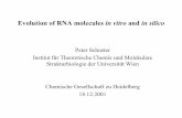 Evolution von RNA-Molekülen in vitro und in silicopks/Presentation/heidelberg-01.pdf · Stock solution: QE RNA-replicase, ATP, CTP, GTP and UTP, buffer ... Phys.Rev.A 40 (1989),