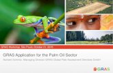 GRAS Application for the Palm Oil Sector · (12,02 von der Mitte | 0,68 von links) (12,02 von der Mitte | 0,68 von rechts GRAS Application for the Palm Oil Sector Norbert Schmitz,