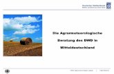 Die Agrarmeteorologische Beratung des DWD in …home.uni-leipzig.de/jacobi/dmg-ev/info/Umwelttag/V6_Boettcher_DWD... · Beratung des DWD in ... Strukturveränderungen ab 01.01.2016