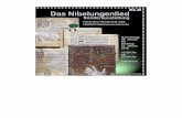 Codex Donaueschingen 63, Bl. 1r : Nibelungenlied 3 in allen landen. niht schoners mohte sin. ... nachdem er einen Drachen erschlagen und ... fried vom Halse zu schaffen.