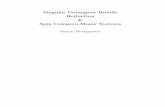 Singular Cotangent Bundle Reduction Spin Calogero …michor/hochgerner_diss.pdf · Singular Cotangent Bundle Reduction & Spin Calogero-Moser Systems Simon Hochgerner