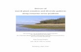 Drivers of marsh plant zonation and diversity patterns ...ediss.sub.uni-hamburg.de/volltexte/2010/4695/pdf/Diss_Engels.pdf · The Elbe estuary ... predict the relative importance