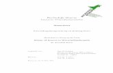 Entscheidungsbaumgenerierung als eLearning-Modulcleve/vorl/projects/da/11-Ma-Rothenberg.pdf · 2.5. Visualisierung von Entscheidungsbäumen in RapidMiner . . . . . . . . . . . . .