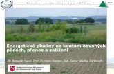 Energetické plodiny na kontaminovaných půdách, … chrom (III), titan. Kabata-Pendias (2011) Trace elements in soils and plants Interdisciplinární centrum pro udržitelný rozvoj