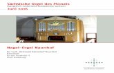 Sächsische Orgel des Monats - evlks.de · Über Gottlob Heinrich Nagel, den Erbauer der Orgel in Naunhof, ist erstaunlich we - ... bei Friedrich Traugott oder Carl August Kayser