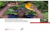Preisgestaltung in der Wertschöpfungskette Kakao ... · GBP British Pound GHS Ghanaian Cedi ... Westafrika: Wie Schmuggel die Statistik verfälscht Unterschiedliche Kakaopreise und