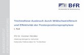 Trichinellose-Ausbruch durch Wildschweinfleisch ... · Zahl der Knacker in der prozierten Charge (105 kg): 1050 Stück (jeweils ca. 100 g) ... BNI (Prof. G. Burchard), Uni Freiburg