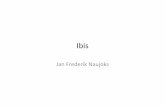 Ibis - Universität Kassel: Aktuelles · Was ist Ibis? Ibis ist eine Java-Programmierumgebung für Grids Open Source, entwickelt durch Computer Systems Group des Computer Science