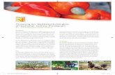 Förderung der Wettbewerbsfähigkeit afrikanischer Cashew ...€¦ · Afrikanische Cashew-Initiative (ACi) T + 233 302 77 41 62 E cashew@giz.de I Design: creative republic Frankfurt