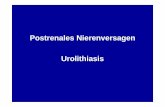 Postrenales Nierenversagen Urolithiasis - uni- · PDF file• akut einsetzende kolikartige Flankenschmerzen ... • akutes Abdomen, Gallen-kolik, Pleuritis, Wirbelsäulen-blockierung,