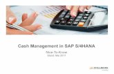 Cash Management in SAP S4HANA Nice-To-Know · PDF fileSAP SE ist Inhaberin der Markenzeichen SAP ®, SAP HANA, SAP S/4HANA, SAP Fiori ®, SAP Lumira, SAP NetWeaver,