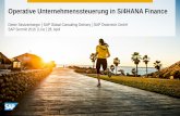 Dieter Strutzenberger â”‚SAP Global Consulting Delivery â”‚SAP ... SAP ERP Non SAP ERP Non ERP Central