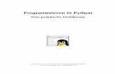 Programmieren in Python//Eine praktische Einführung · PDF file12 1Einführung 1.1 Python-Hintergrund DieProgrammiersprachePythonwurdeindenspäten1980erJahrenvonGuido