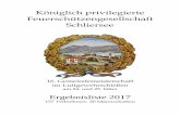 Königlich privilegierte Feuerschützengesellschaft Schliersee Gemeindemeisterschaft 2017.pdf · 87 Wein Benedikt 87 88 Steiner Shania 82 85 Haslinger Maria 3 ... 81 Holzmüller Robert