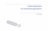 Carbon Nanotubes for biomedical Applications - FH Münster · PDF fileSeite 2 Carbon Nanotubes for Biomedical Applications Was sind Carbon Nanotubes? • CNTs sind zu einer Röhre