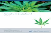 Cannabis in Deutschland - Deutsche Anwaltshotline · 3 Hintergrund Cannabis Cannabis ist die lateinische Bezeichnung für die Hanfpflanze, die umgangssprachlich auch für alle ...