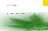 Cannabis - DHS: Startseite · Cannabis gilt als eine der ältesten Nutz- und Heil-pflanzen. In China soll die Hanfpflanze bereits vor 6000 Jahren zu Nahrung, Kleidung, Fischnetzen,