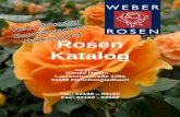 Rosen Katalog - Weber Rosen Delbard Rosen ... Charles Darwin Auspeet groe, dicht gef¼llte, tief gelbe