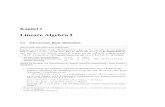 Lineare Algebra I - UserPagespage.mi.fu-berlin.de/rhschulz/LWB_WiSe_13_14/LWB_ANA_LINA.pdf · Kapitel 1 Lineare Algebra I 1.1 Vektorrume, Basis, Dimension Was versteht man unter einem