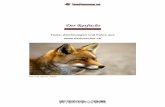 der Rotfuchs - Tierforscher.chtierforscher.ch/pdf/Fuchs_Dokumentation_Tierforscher.ch.pdf · Wie sieht der Fuchs aus? Der Körper Der Fuchs ist lang und schmal gebaut. Er hat kurze,
