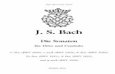 J. S. Bach - Stephan Durydury- .Sonata Câ€“Dur..... 2 Sonata eâ€“moll ... Sonata Câ€“Dur BWV 1033