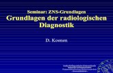 Seminar: ZNS-Grundlagen Grundlagen der radiologischen ... · Seminar: ZNS-Grundlagen Grundlagen der radiologischen Diagnostik D. Koenen. K O E M S M 0 1/ 2 0 0 6 - 2 Institut für