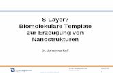 S-Layer? Biomolekulare Template zur Erzeugung von ... · 14.02.2005 1 Institut für Radiochemie Mitglied der Leibniz-Gemeinschaft Dr. Johannes Raff S-Layer? Biomolekulare Template