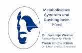 Metabolisches Syndrom und Cushing beim Pferd - igwu.de€¦ · Dr. Swantje Werner 4. November 2011 Metabolisches Syndrom und Cushing beim Pferd 2. Metabolisches Syndrom (EMS) Therapie