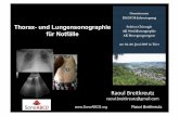Thorax- und Lungensonographie für Notfälle¤ge... · Cholelithiasis/ -cystitis (FAST plus) urinal obstruction/stones filling of urinay bladder lower extremity (FAST) compression-