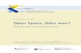 Nick Kratzer (Hrsg.) Open Space. Oder was? - praegewelt.depraegewelt.de/wp-content/uploads/Trendanalyse_PräGeWelt_final-1.pdf · 3 Die PRÄGEWELT-Trendanalyse Vorwort 5 1 Open Space.