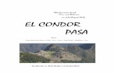 EL CONDOR PASA - suedamerikareisen.com EL...Abenteuerreise durch Peru und Bolivien im Juli/August 2015 EL CONDOR PASA Teil 2: Parque Nacional de Sajama –La Paz – Puno – Cusco