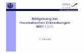 T. Herold - Universitätsklinikum Regensburg · Conaghan, Arthritis Rheum 2003; Savanik, Eur Radiol 2002 T1 SE fs +KM Grundlagen Rheumatoide Arthritis Psoriasis- ... Microsoft PowerPoint