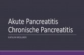 Akute Pancreatitis Chronische Pancreatitis - semmelweis.husemmelweis.hu/...AOK_V_nemet_Akute_chron_Pancreatitis_MullnerK.pdf · druckschmerzhaftes Abdomen ... Akut Pankreatitis -